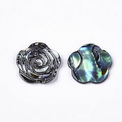 Cabochon conchiglia paua&nbsp;SHEL-S276-43
