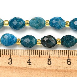 Natürliche Apatit Perlen Stränge&nbsp;G-N342-48