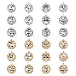 2 Sets 2 Farben Zinklegierung Schmuck Anhänger Zubehör&nbsp;FIND-FW0001-06