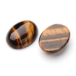 Natürliche Tigerauge oval Cabochon&nbsp;X-G-L394-06-25x18mm