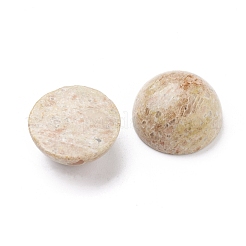 Cabochons de jaspe sésame naturel&nbsp;G-I285-04