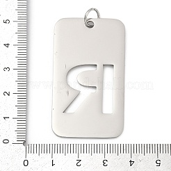 Pendentifs en acier inoxydable 304&nbsp;STAS-M115-01P-R