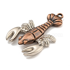 Tibetischer stil Aluminium Anhänger & Charms&nbsp;FIND-C052-19R