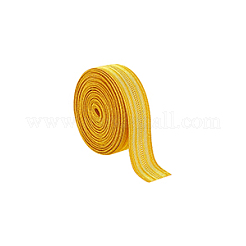 Nastro in filato metallico da 2 m&nbsp;SRIB-WH0011-220B-01
