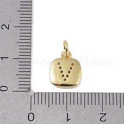 Rack-Beschichtung Messing Micro Pave klar Kubisch Zirkonia Charms&nbsp;KK-E110-14G-V