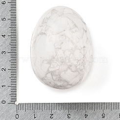 Natürliche Howlith-Handsteine&nbsp;LS-G-I367-04B