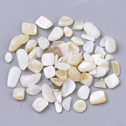 Perline di guscio&nbsp;SHEL-S266-11