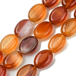 Brins de perles d'agate rouge naturelle (teintes et chauffées)&nbsp;G-K365-B02-01