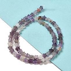 Natürlichen Amethyst Perlen Stränge&nbsp;G-G085-B01-02