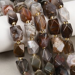 Botswana agata naturale perline fili&nbsp;G-P611-B01-01