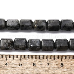 Natürliche Larvikit-Perlenstränge&nbsp;G-R015-A04
