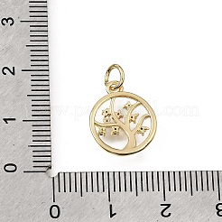 Messing Mikropflaster bunte Zirkonia Charms&nbsp;CU-L001-12G-02