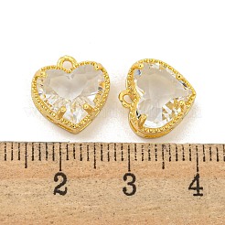 Cremagliera charms ottone placcatura&nbsp;KK-M290-02