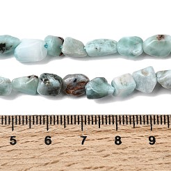 Larimar Naturperlen Stränge&nbsp;G-P601-A20-02