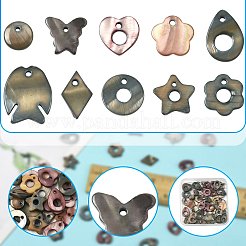 50 Stück natürliche&nbsp;SHEL-FS0001-17