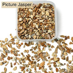 50g natürliche Bilderjaspis-Chips&nbsp;G-YW0001-73