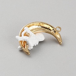 Aluminium Anhänger & Charms&nbsp;FIND-WH0152-746G