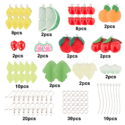 DIY-Sets zum Basteln von Ohrhängern mit Obstmotiv&nbsp;DIY-SC0001-16
