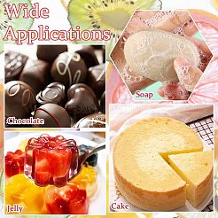 4 moule à fruits en silicone&nbsp;ST-CJ0043-082