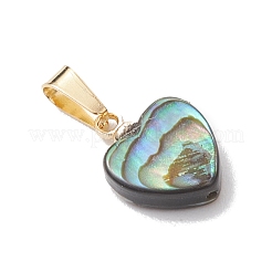 Natur Paua Muschel Anhänger&nbsp;PALLOY-JF05164