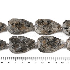 Natürliche Syenitperlenstränge&nbsp;G-P548-B26-01