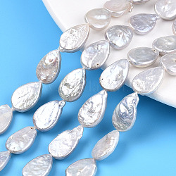 Hebras de cuentas de perlas keshi de perlas nucleadas naturales barrocas, perla cultivada de agua dulce, lágrima, color de concha, 13~20x9.5~12.5x2.5~7mm, agujero: 0.6 mm, aproximamente 25~26 pcs / cadena, 14.76~15.35 pulgada (37.5~39 cm)