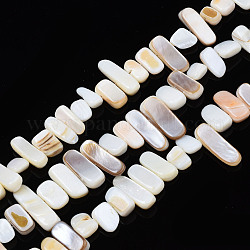 Chapelets de perles de coquille de trochid / trochus coquille, non teint, rectangle, 6~11x6~36x1~7mm, Trou: 1mm, Environ 45~55 pcs/chapelet, 14.96 pouce ~ 15.35 pouces (38 cm ~ 39 cm)