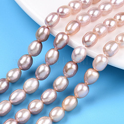 Fili di perle di perle d'acqua dolce coltivate naturali, riso, cardo, 7~10x5.5~7mm, Foro: 0.6 mm, circa 42~48 pcs/filo, 14.57~14.96 pollice (37~38 cm)
