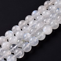 Brins de perles de pierre de lune arc-en-ciel naturel, ronde, 8mm, Trou: 1mm, Environ 48 pcs/chapelet, 15.55'' (39.5 cm)