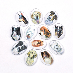 Welpenfoto Flatback Glas Cabochons, für DIY-Projekte, Hundemuster, Oval, Mischfarbe, 25x18x5.5 mm