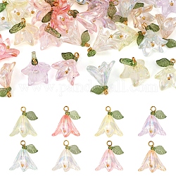 32 pièces 8 couleurs pendentifs acryliques transparents, avec perles de coquille et les accessoires en laiton, breloques de fleurs de lys, couleur mixte, 20x16x12mm, Trou: 3mm