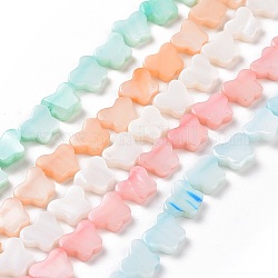 Eau douce naturelle de coquillage perles brins, teinte, papillon, couleur mixte, 8x10x2.5mm, Trou: 0.8mm, Environ 40 pcs/chapelet, 15.39'' (39.1 cm)
