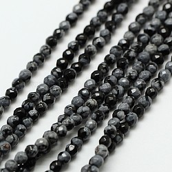 Flocon de neige naturelle chapelets de perles en obsidienne, ronde à facettes, 2mm, Trou: 0.8mm, Environ 190 pcs/chapelet, 16 pouce