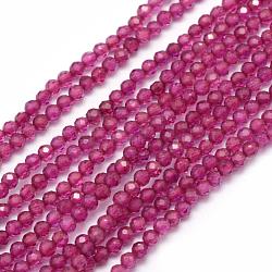Fili di perline naturali di corindone rosso / rubino, sfaccettato, tondo, 2mm, Foro: 0.5 mm, circa 165pcs/filo, 15.35 pollice (39 cm)