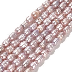 Hebras de perlas de agua dulce cultivadas naturales, arroz, grado a +, cardo, 5.5~7x3~3.5x3~3.5mm, agujero: 0.6 mm, aproximamente 61~71 pcs / cadena, 13.98~14.06 pulgada (35.5~35.7 cm)