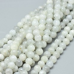Natürlichen weißen Mondstein Perlen Stränge, Runde, 6 mm, Bohrung: 0.8 mm, ca. 63 Stk. / Strang, 15.75 Zoll (40 cm)