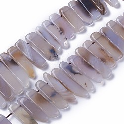 Dyed Natural Agate Beads Strands, Tusk Shape, Light Grey, 16.5~39x7.5~9.5x5.5~6.5mm, Hole: 1.5mm, about 38~40pcs/strand, 14.8~15.3 inch(37.5~39cm)
