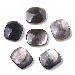 Natürliche schwarze Lippe Shell Cabochons, Rechteck, Schwarz, 10~11x9x3 mm
