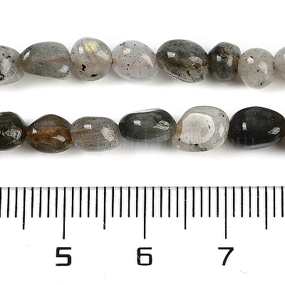 Natur Labradorit Perlen Stränge&nbsp;G-P497-01B-03-1