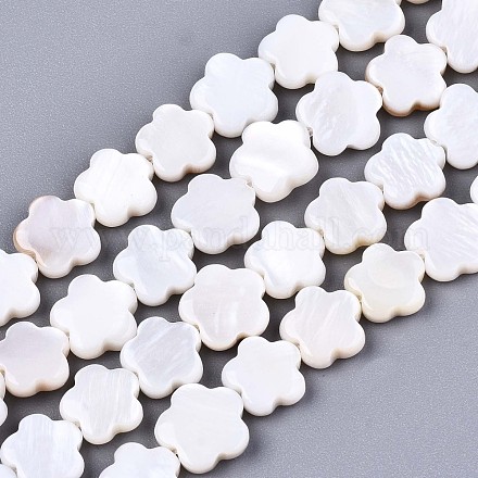 Eau douce naturelle de coquillage perles brins X-SHEL-S276-111-1