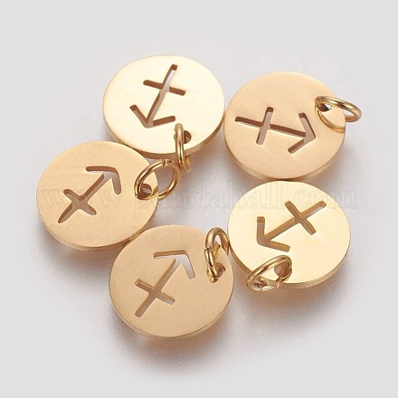 304 Stainless Steel Charms STAS-Q201-T445-9G-1