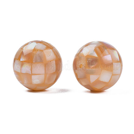 Natural Pink Shell Beads SHEL-N026-189A-01-1