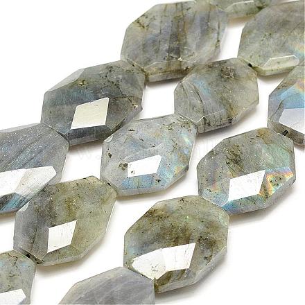 Natural Labradorite Beads Strands G-F477-12-29x21mm-1