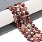 Natural Plum Blossom Jasper Beads Strands, Faceted Pentagonal Cut, Flat Round, with Seed Beads, 10~10.5x5~6mm, Hole: 1mm, about 32~33pcs/strand, 15.75''(40cm)