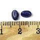 Naturales lapis lazuli cabochons G-A094-01A-04-3