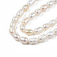 Natural Cultured Freshwater Pearl Beads Strands PEAR-N012-04B-4