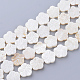 Natural Freshwater Shell Bead Strands X-SHEL-T001-A01-1