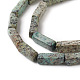 Natural African Turquoise(Jasper) Beads Strands G-G837-02-3