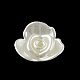 Flower ABS Plastic Imitation Pearl Beads OACR-R016-52-1