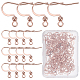 SUNNYCLUE 100Pcs 316 Surgical Stainless Steel Earring Hooks STAS-SC0006-43-2